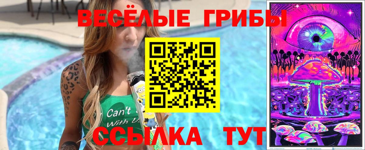 Псилоцибиновые грибы Psilocybe Карталы