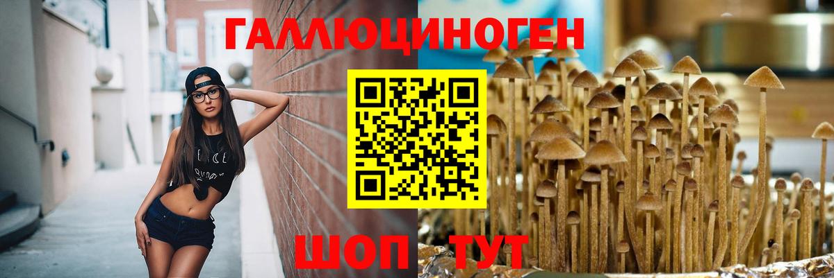 Карталы  Псилоцибиновые грибы прущие грибы  Псилоцибиновые грибы Magic Shrooms  Вход с VPN 